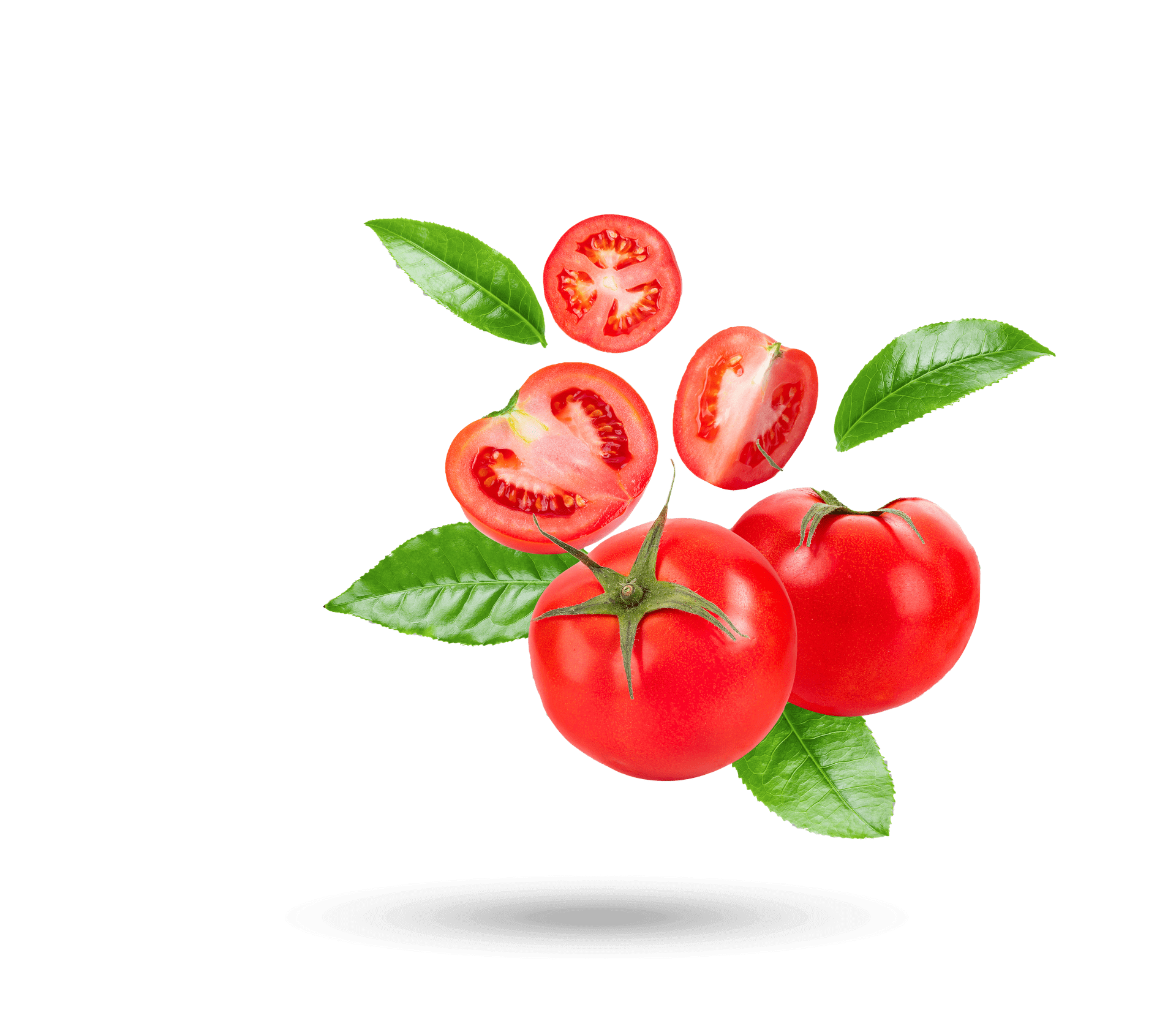 leafy vegetables for salad